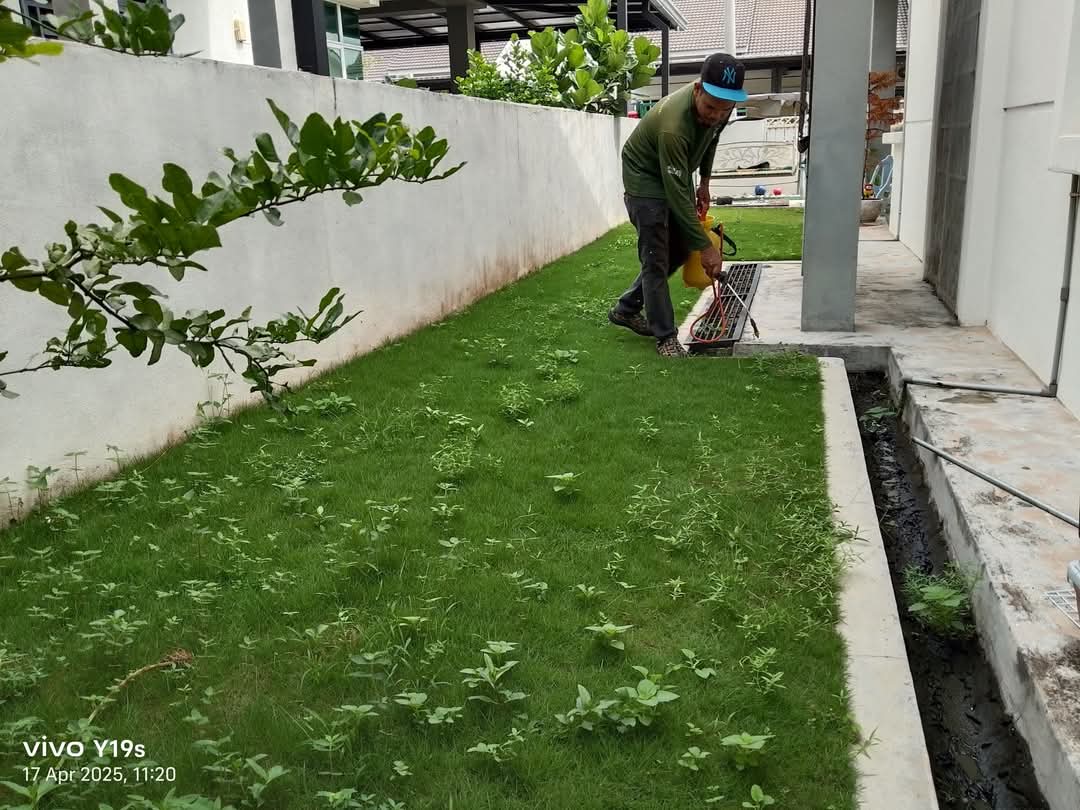 Before lawn care